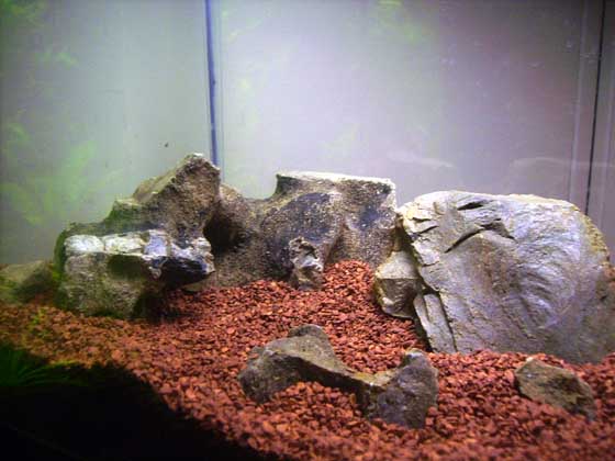 SANY0609.JPG SANY0609.JPG