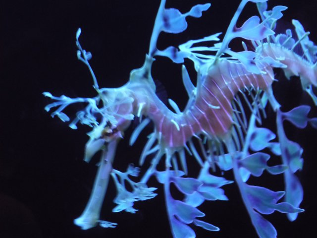 P1000603.JPG