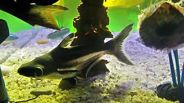 071.JPG