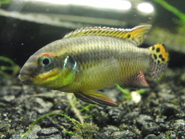 PB220184.JPG PB220184.JPG