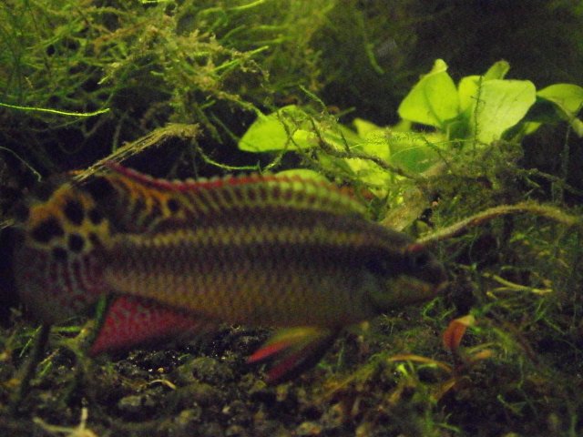 P1210099.JPG P1210099.JPG