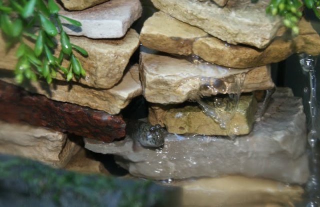 waterfall.jpg