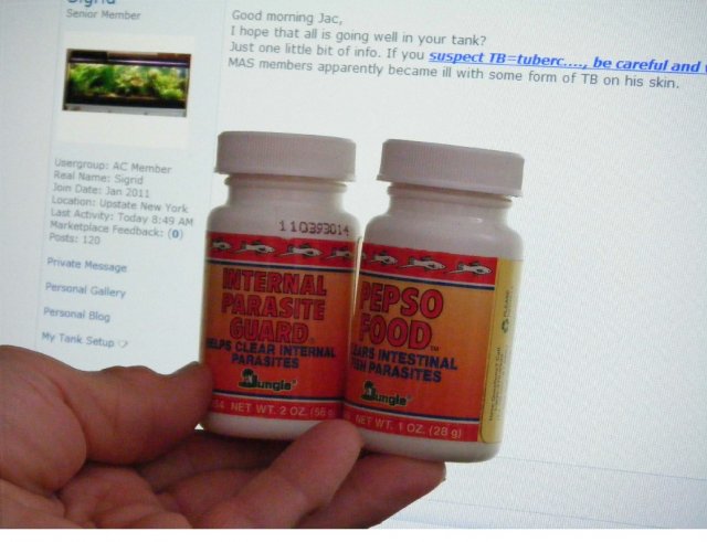 Norwich 2011-01-30 parasite food, treatment.jpg