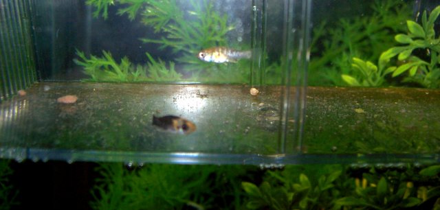100_3067.JPG