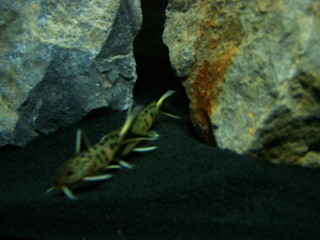 100_4785.JPG
