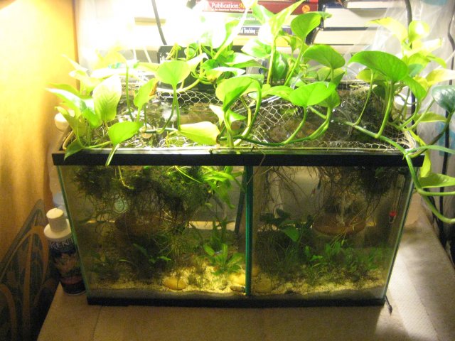 2-1-2011 001.JPG 2-1-2011 001.JPG