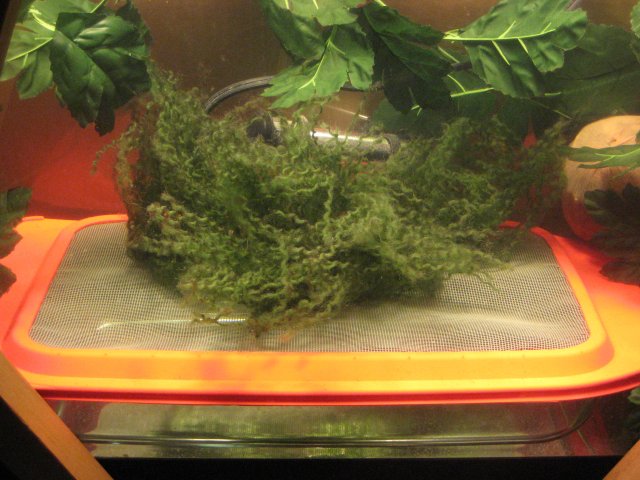 2-1-2011 003.JPG 2-1-2011 003.JPG