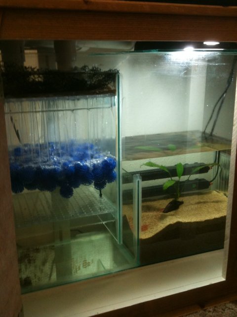 freshwater tank with sump