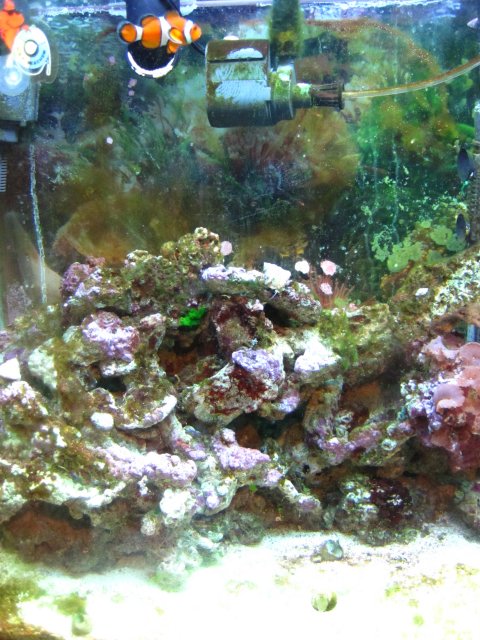 IMG_1246.JPG