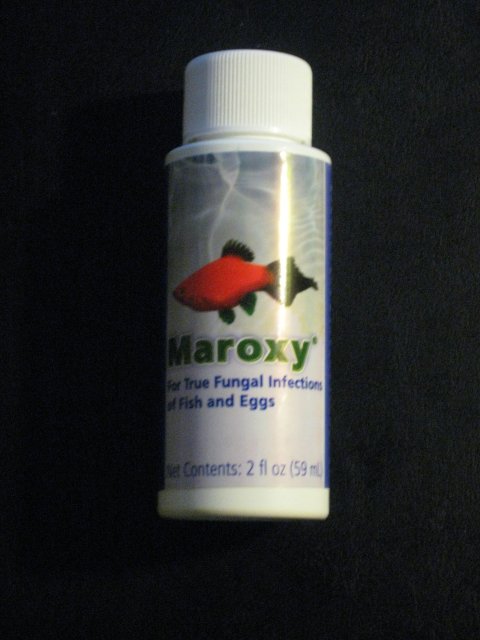 2-7-2011 002.JPG