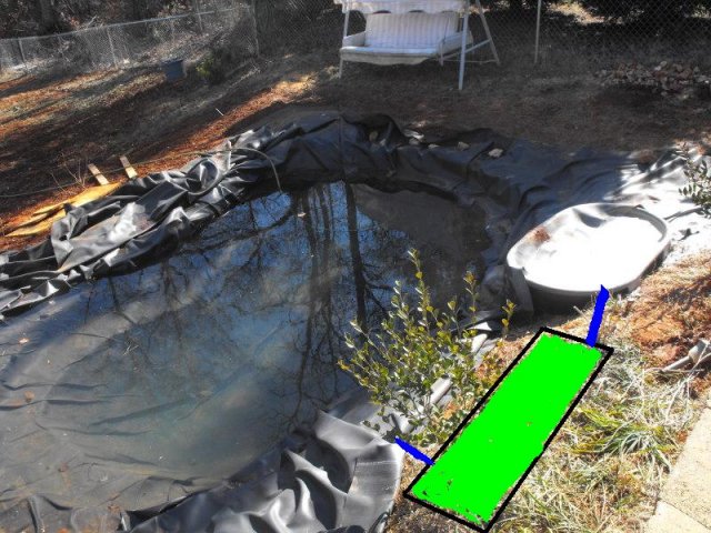 pond.jpg