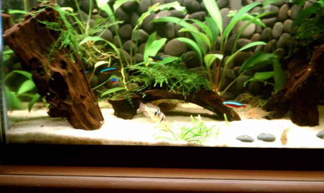 IMAG0042.jpg
