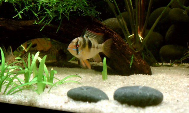 IMAG0044.jpg