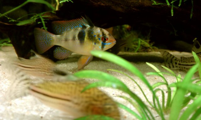 IMAG0041.jpg
