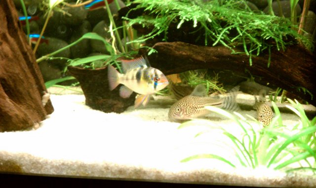 IMAG0037.jpg