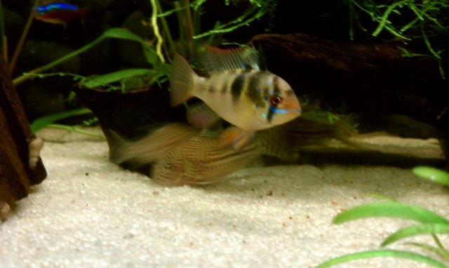 IMAG0038.jpg