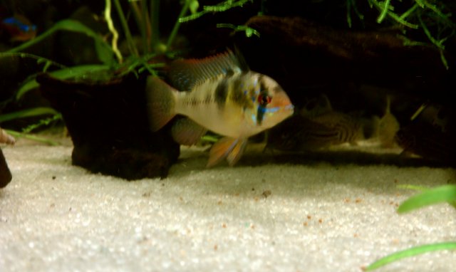 IMAG0040.jpg