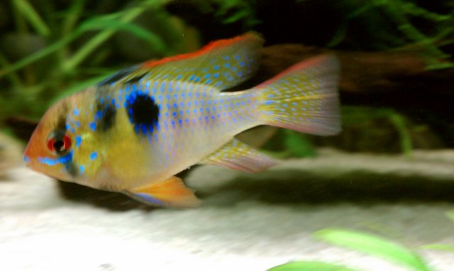 IMAG0054.jpg