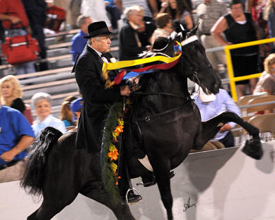 1382329-L.jpg