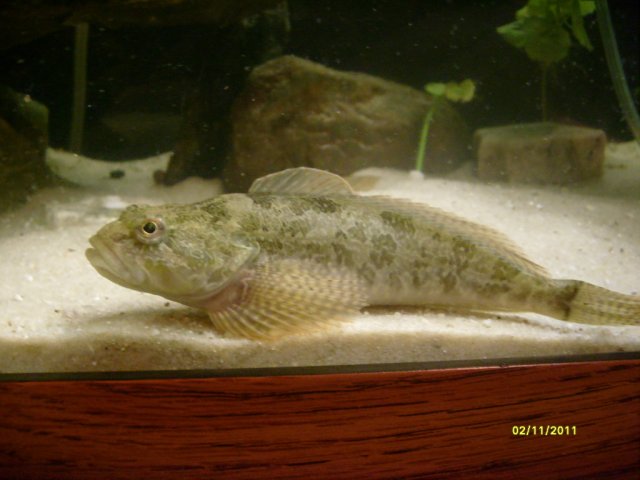 S7300441.jpg