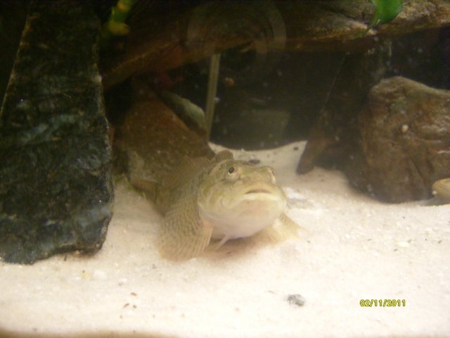 S7300443.jpg
