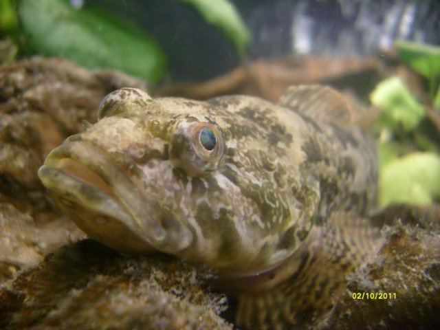 S7300431.jpg