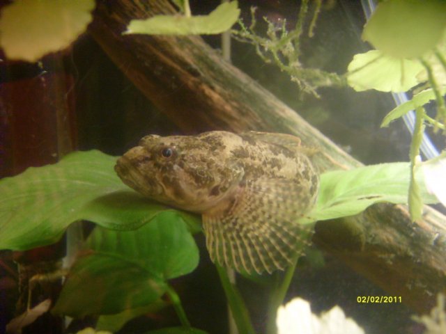 S7300371.jpg