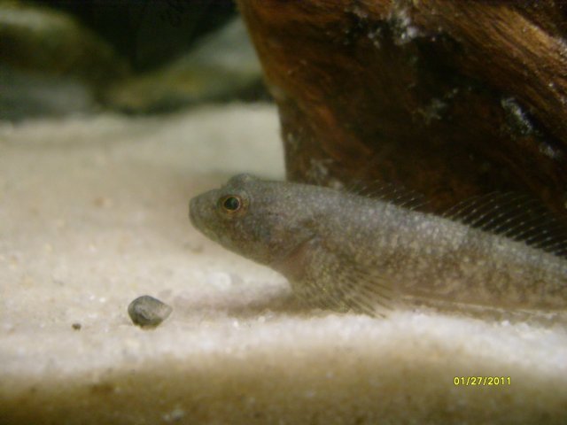 S7300311.jpg