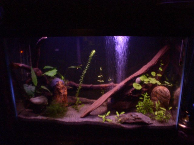 P1010072.JPG