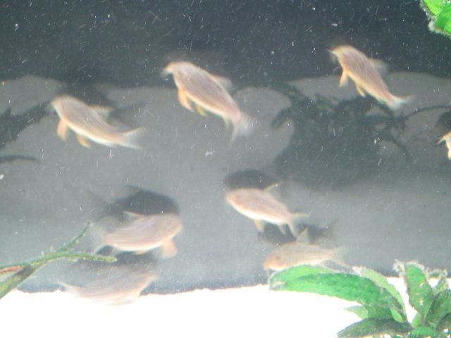 IMG_0602.JPG