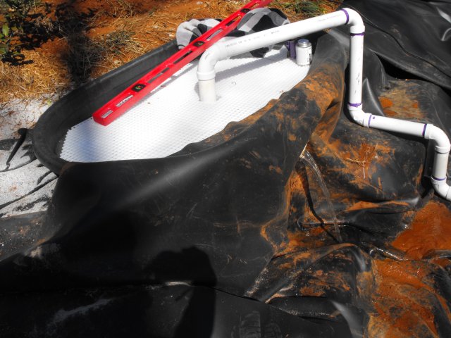 DSCF0092.JPG