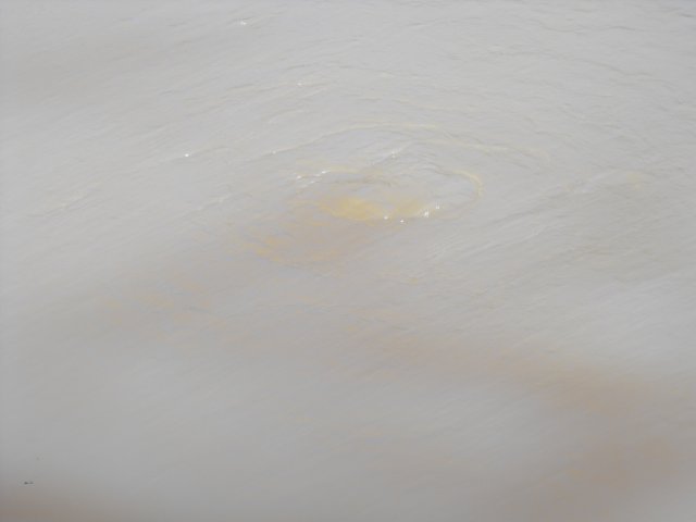 DSCF0091.JPG