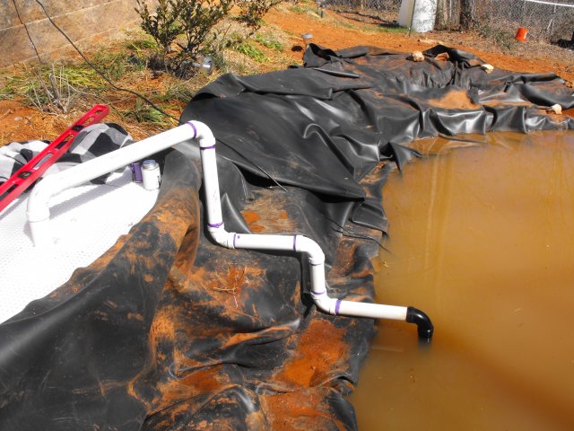 DSCF0087.JPG