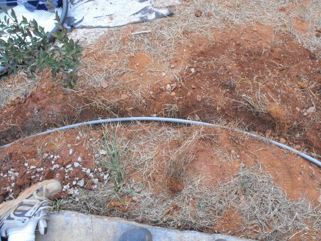DSCF0122.JPG