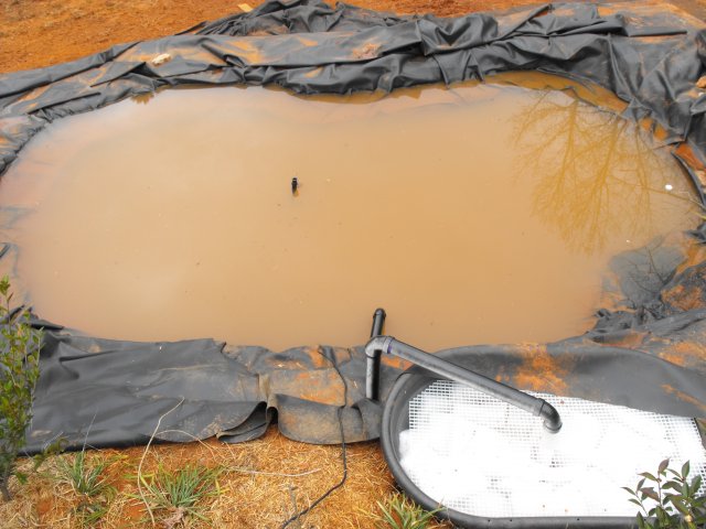 DSCF0116.JPG