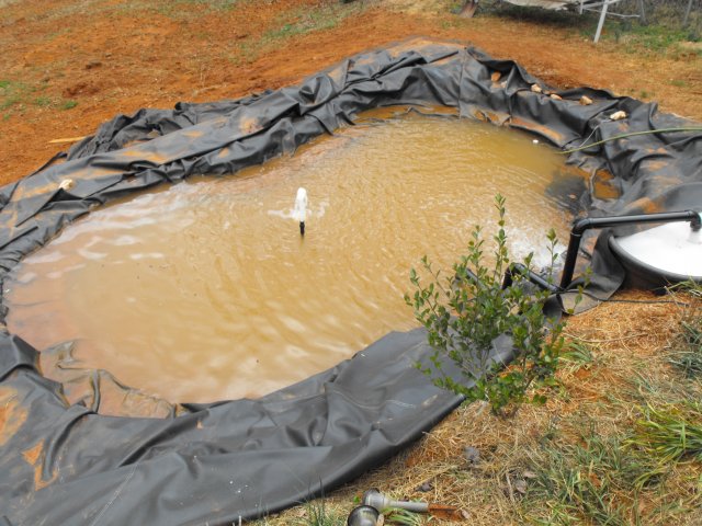 DSCF0133.JPG