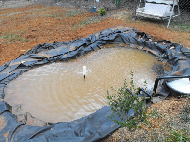 DSCF0132.JPG