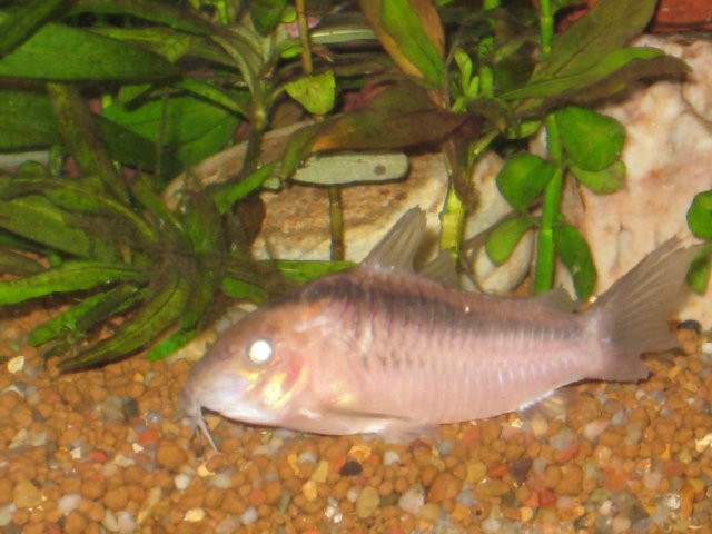 IMG_2943.JPG