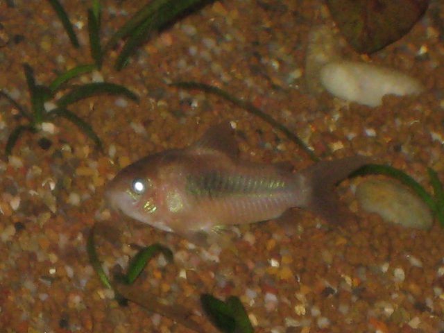 IMG_2944.JPG