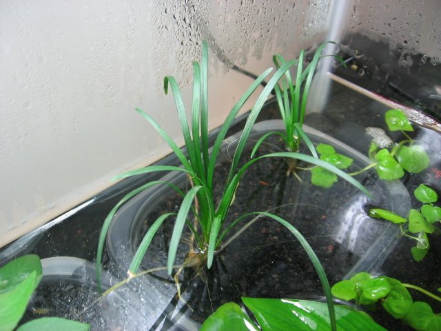 Picture 007.jpg