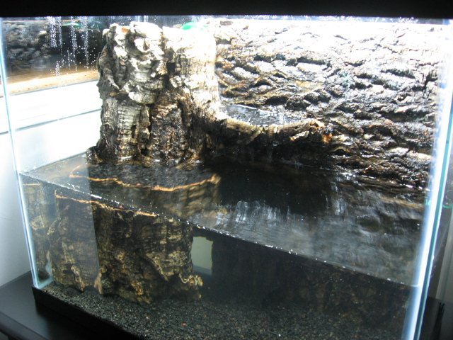 Picture 032.jpg