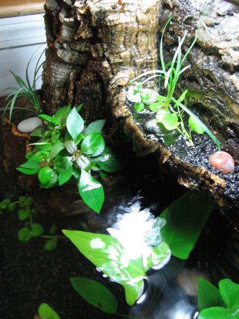 Picture 059.jpg