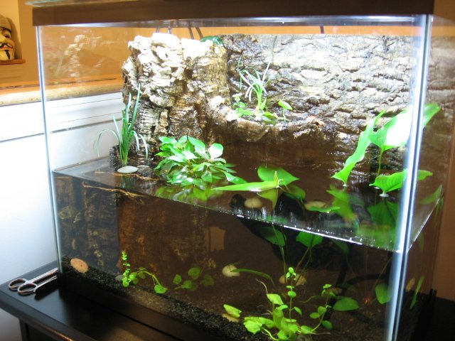 Picture 065.jpg