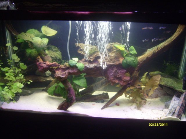 S7300561.jpg S7300561.jpg