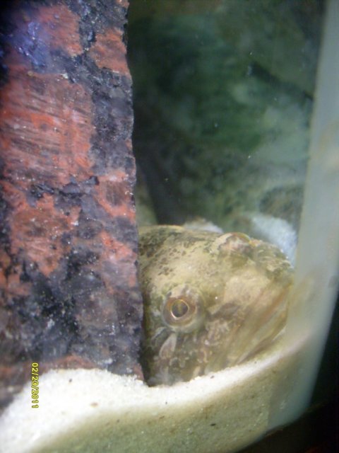 S7300554.jpg S7300554.jpg