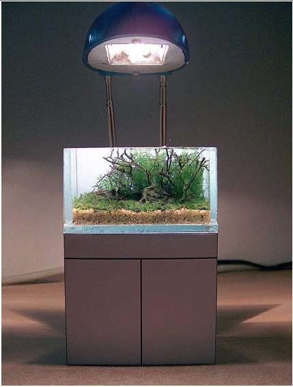 PFK tank A.JPG
