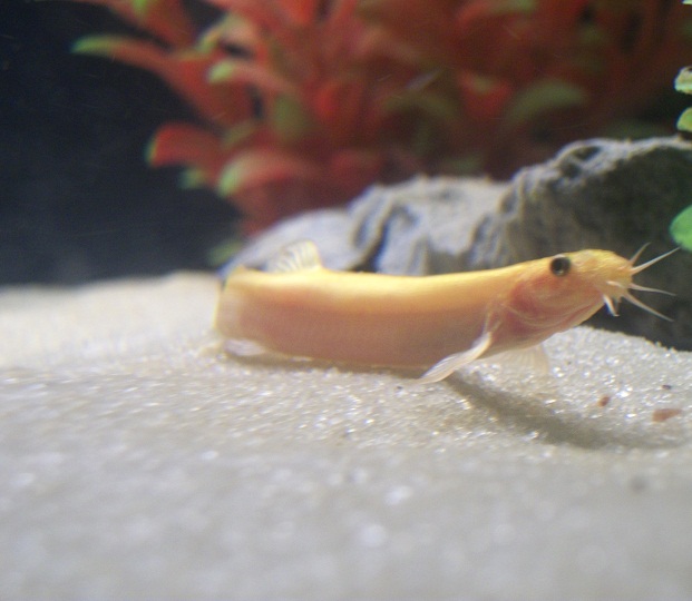 100_6859.JPG