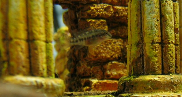 IMG_0644.JPG IMG_0644.JPG