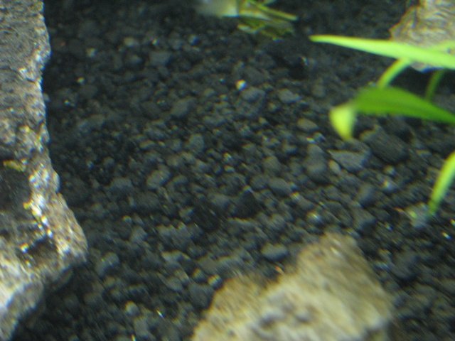 IMG_0830.JPG