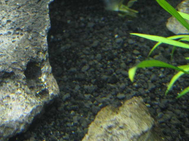 IMG_0826.JPG